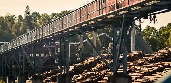 vídeo de la industria de la madera